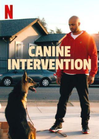 Canine Intervention English subtitles