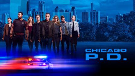 chicago pd season 8 english subtitles