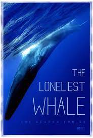 The Loneliest Whale the Search for 52 English Subtitles