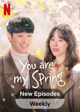 You Are My Spring English Subtitles