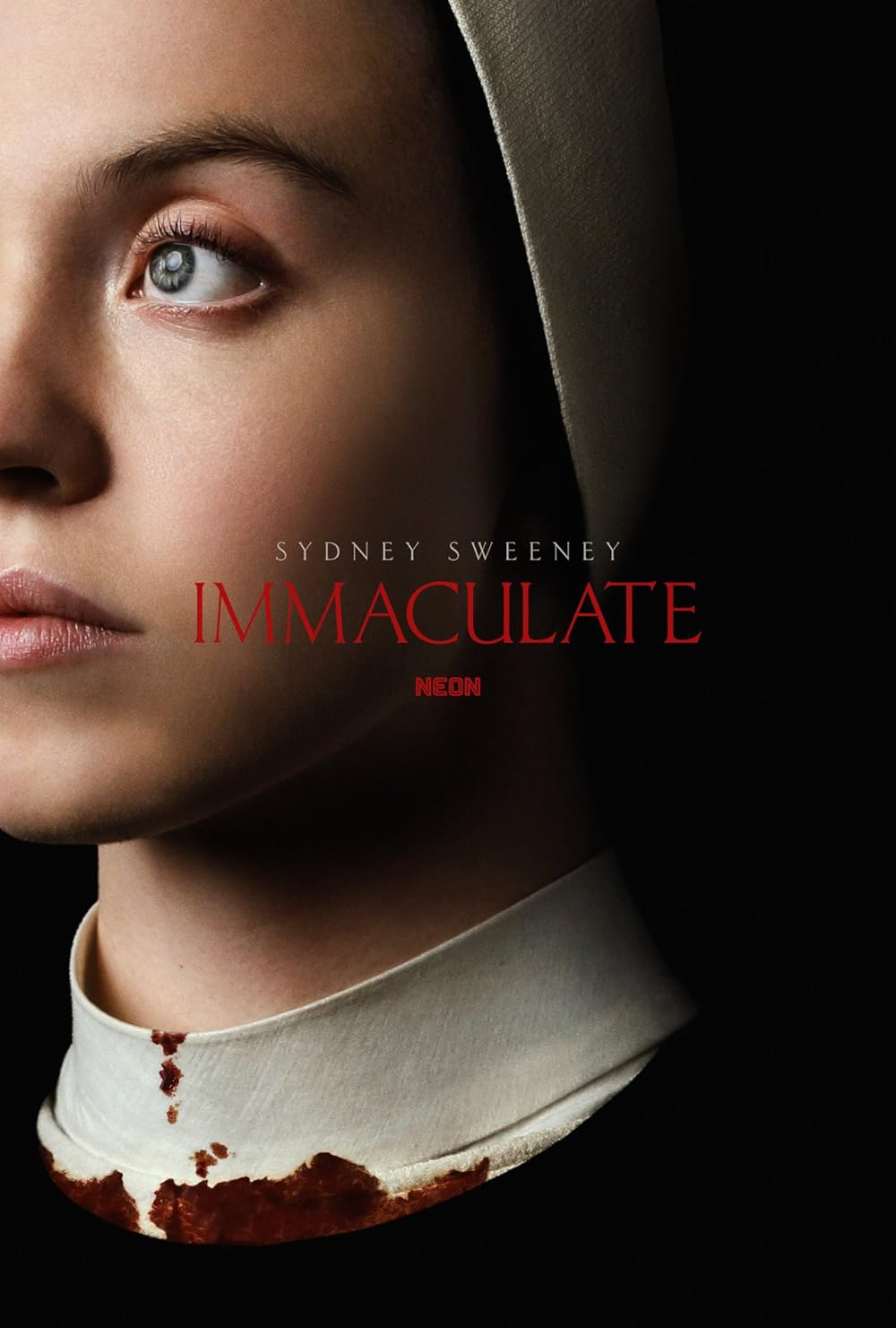 Immaculate English Subtitles
